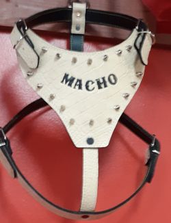 Custom harness
