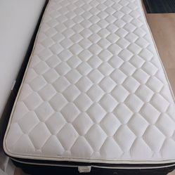 Twin mattress and box spring