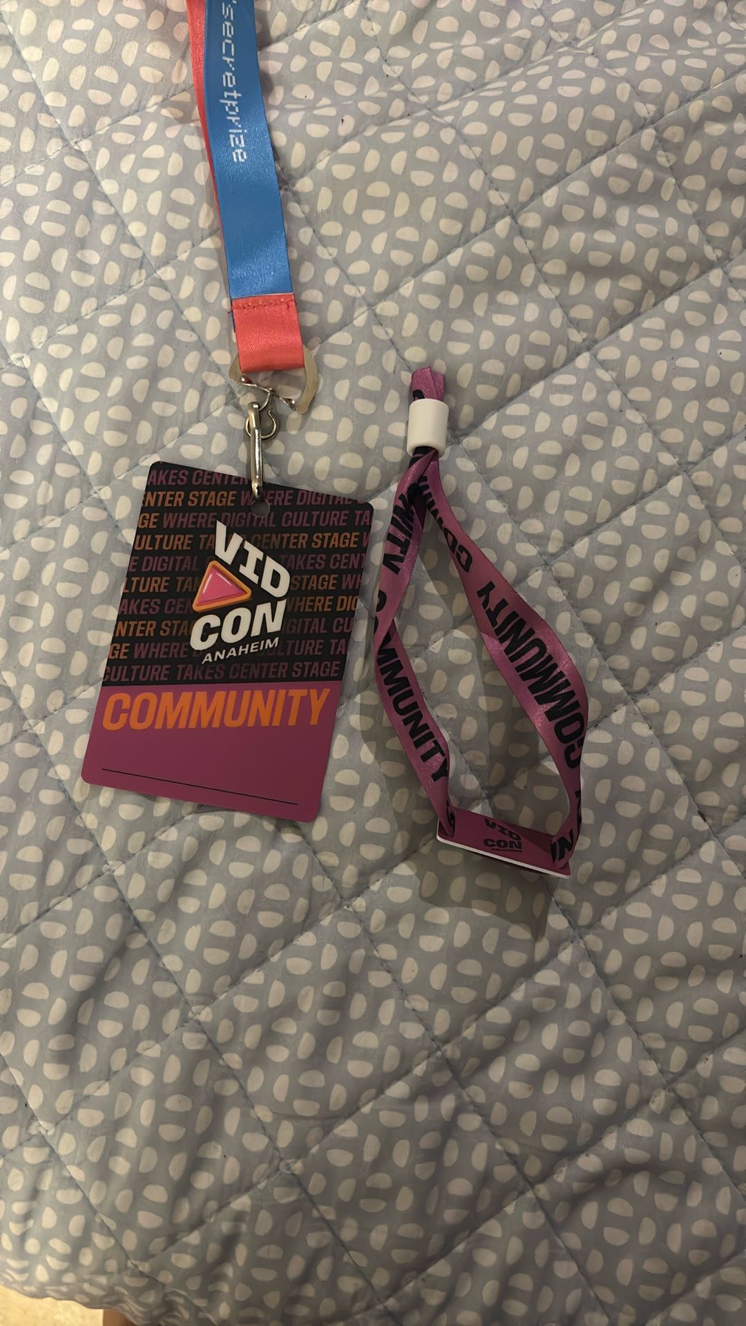 Vidcon 2025
