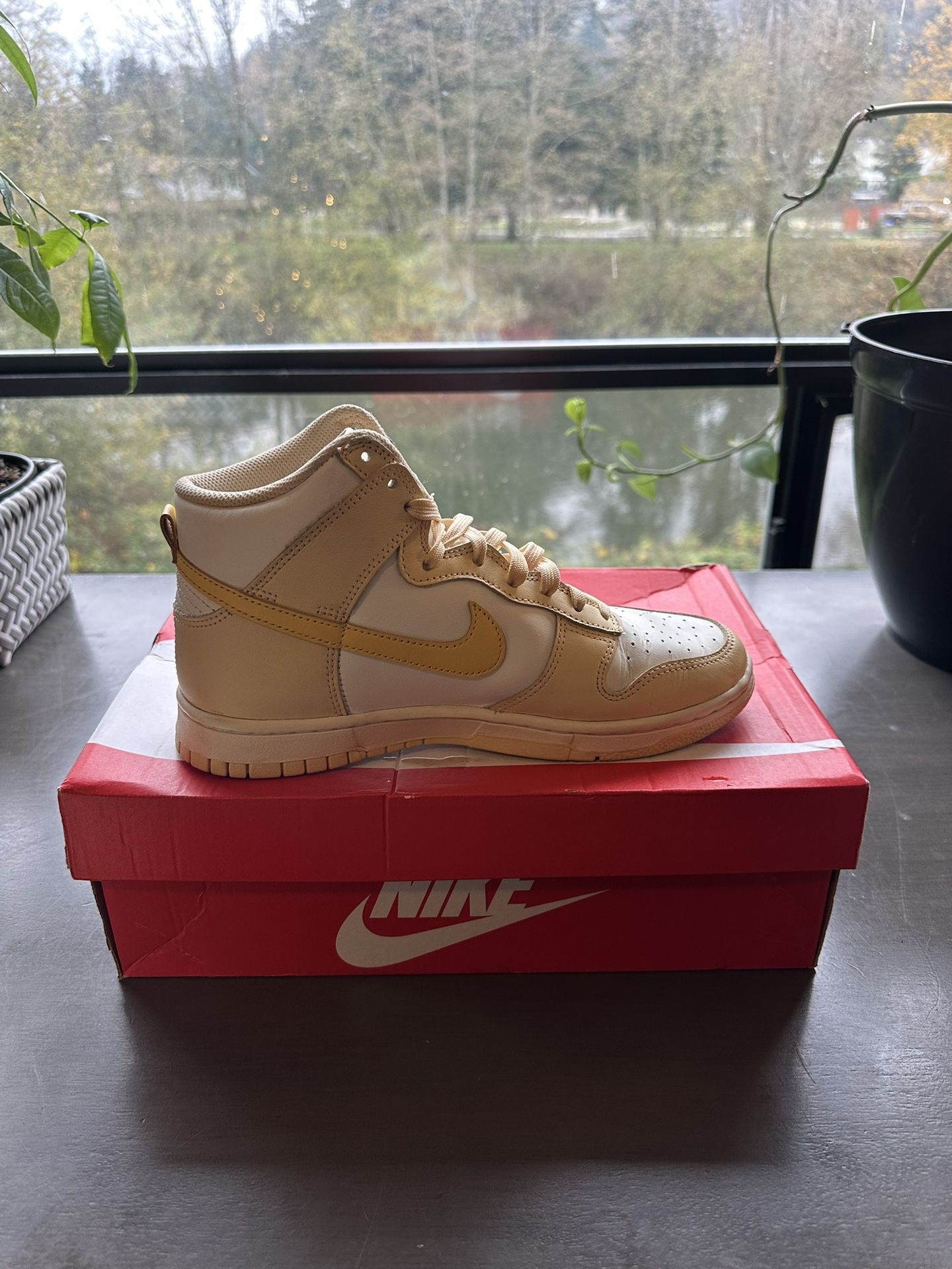 Women’s High top Nike Dunks - 8.5