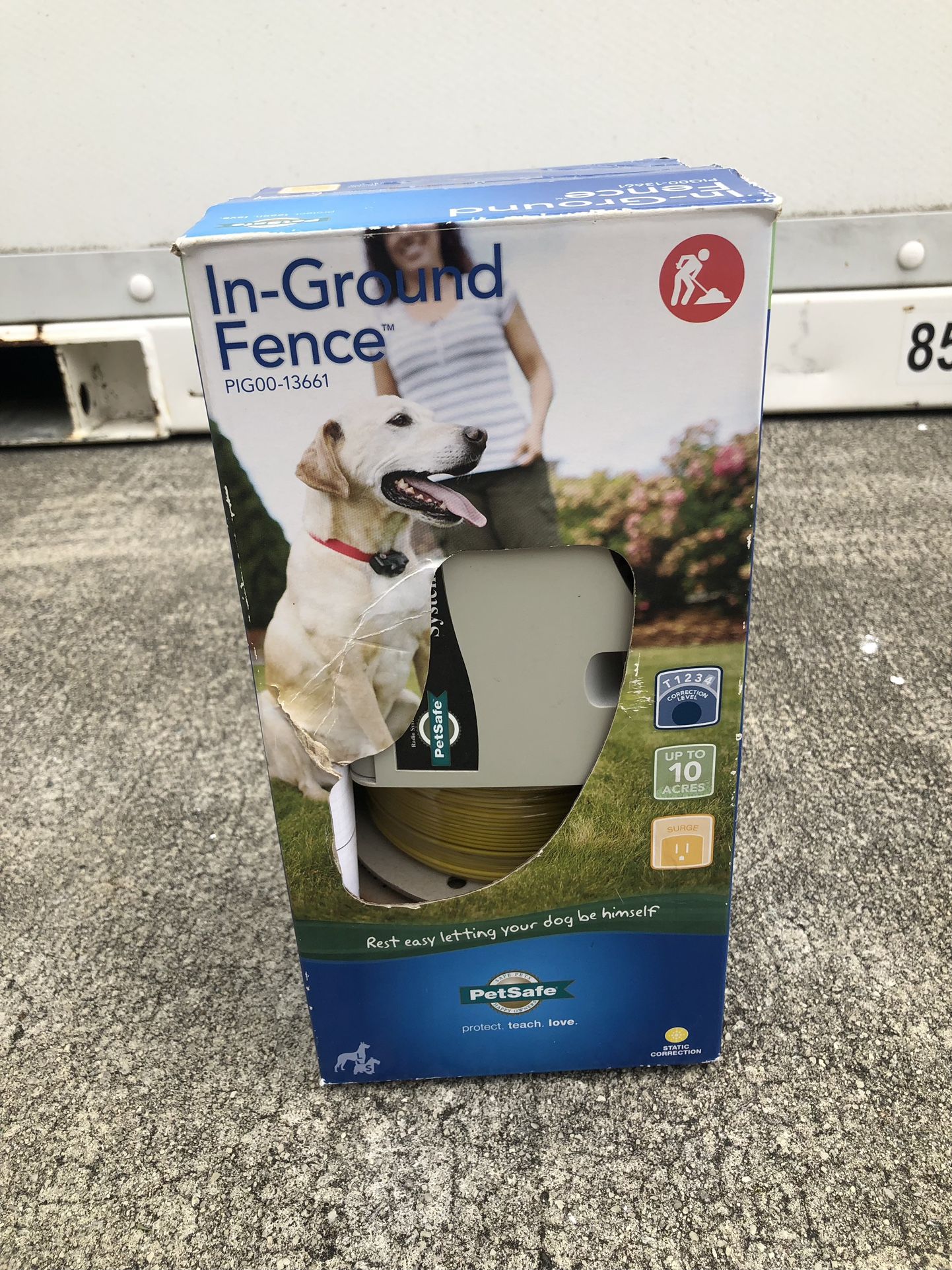 In Ground Dog Fence