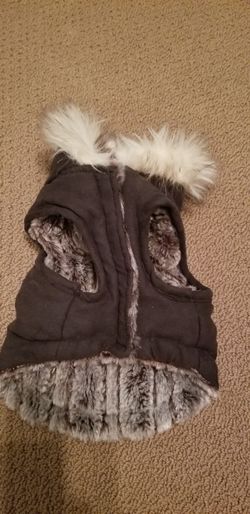 Small dog coat