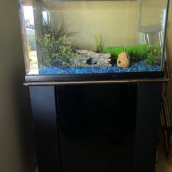 Fish Tank With Shelf 