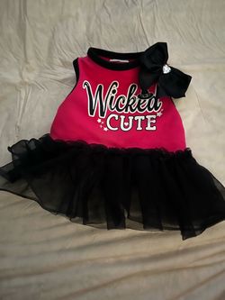 Dog clothes