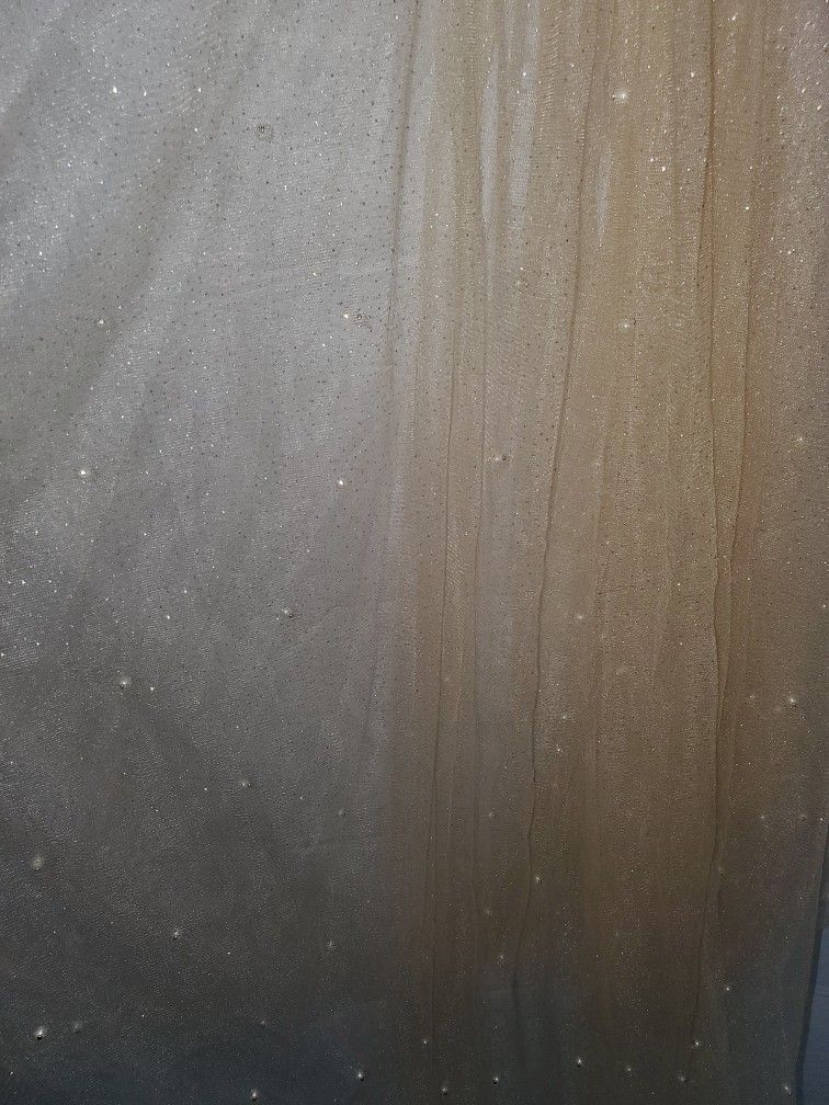 New Clip In Veil