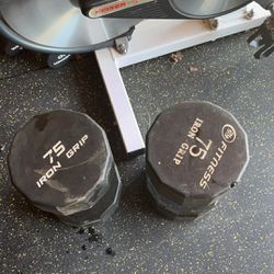 Iron Grip Dumbbell Weights