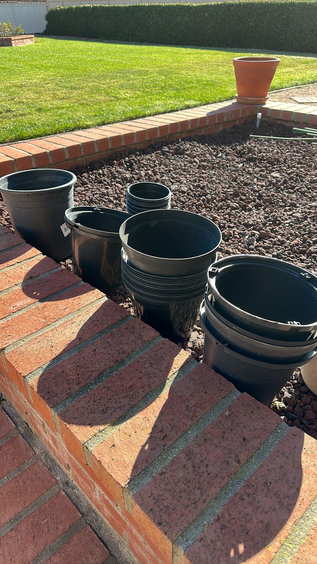 Plant Pots $15