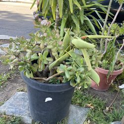 Chairs With Table Metal Vintage 