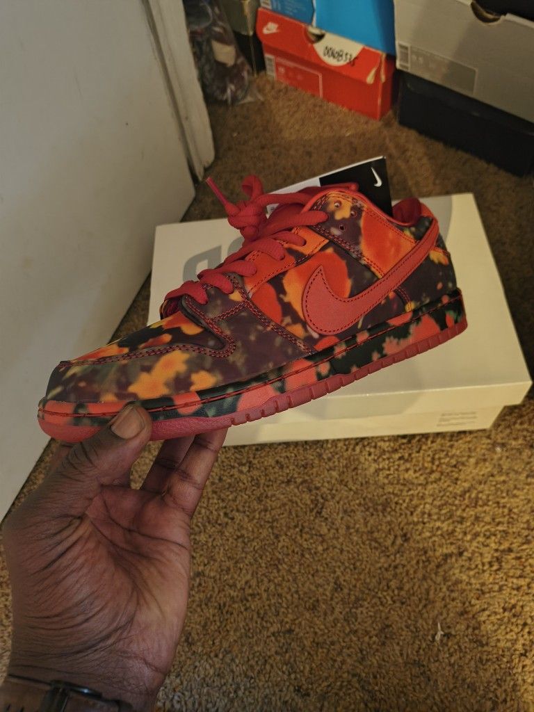 Nike SB Dunk "Wizard Of Oz" Size 10 