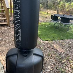 Punching Bag