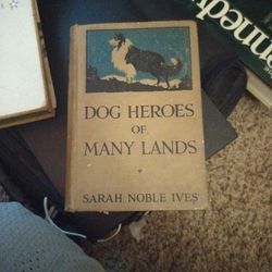 Dog Heroes Of Many