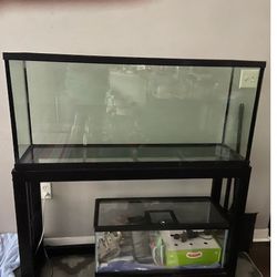 55 Gallon Tank with Stand