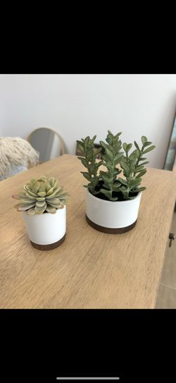 Target Threshold Potted Faux Plant Succulent Medium/Small in White Ceramic Container w/ Wood Bottom