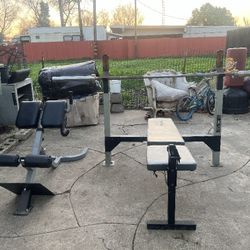 Bench,45 Bar, Back Extension