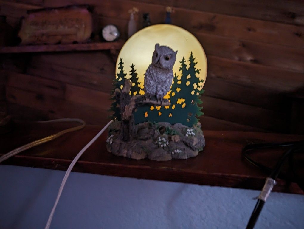 Night Light Decoration - Owl in Front of Moon
