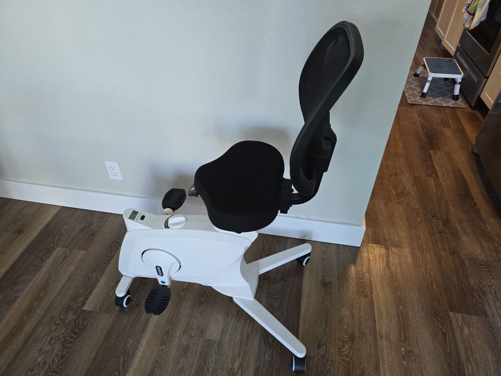 Flexispot Stationary Bike Office Chair