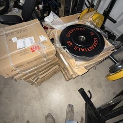 Weights (Bumper Plates)