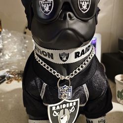 Brand New Blue Tooth Raider Dog