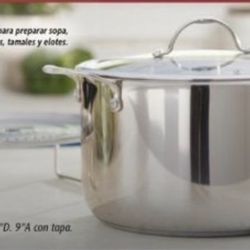 10 Qt Stockpot With Steaming Rack Princess House $160