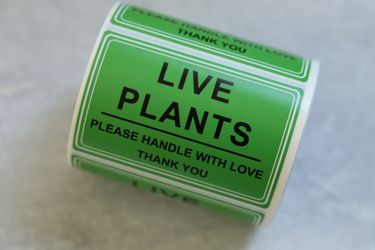 Live Plant Stickers