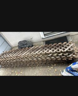 Wood Lattice 