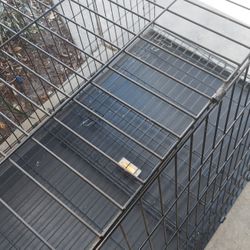 Biiiig Pet Cage