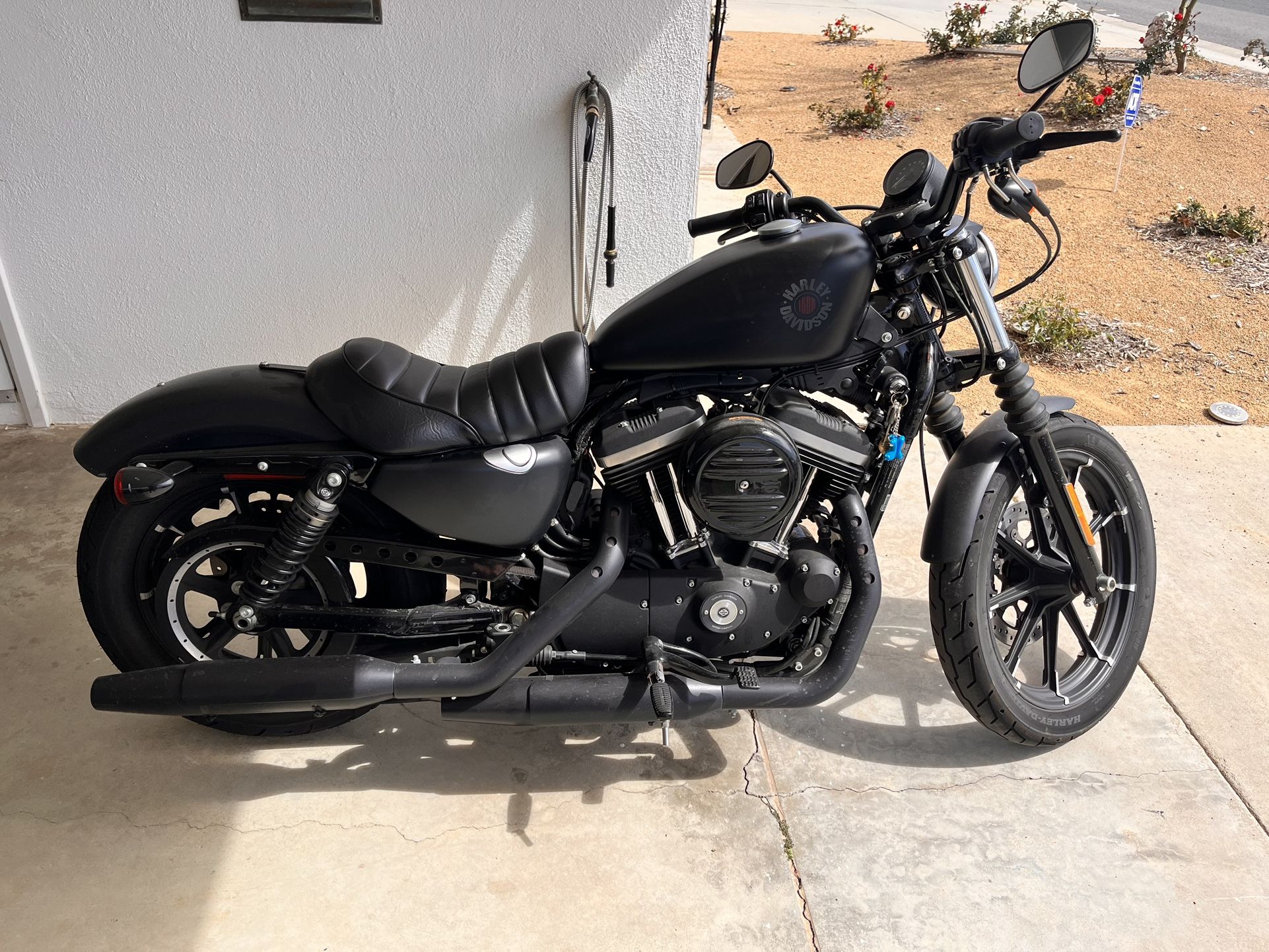 2021 Harley Davidson Iron883