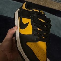 Nike Dunks Kids Shoes