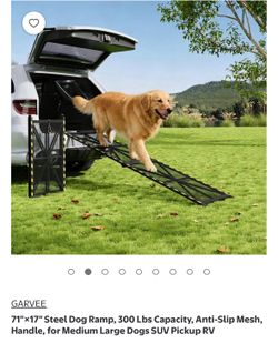 Portable dog ramp