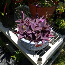 1 F W x 6FH GLAZED CERAMIC BASE 