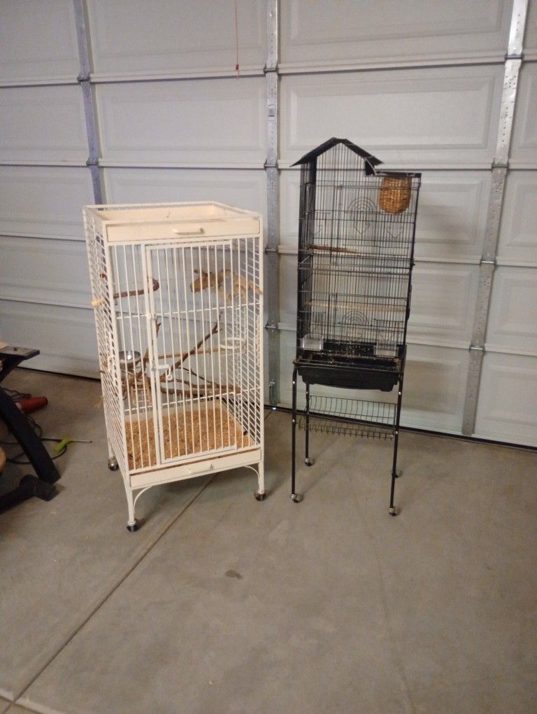 Bird Cages
