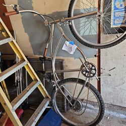 Chrome Beach Cruiser