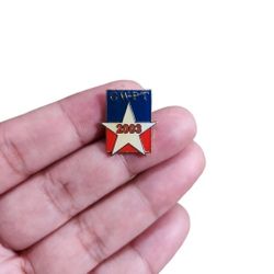 2003 Gold Toned Patriotic CWPT Star Pin
