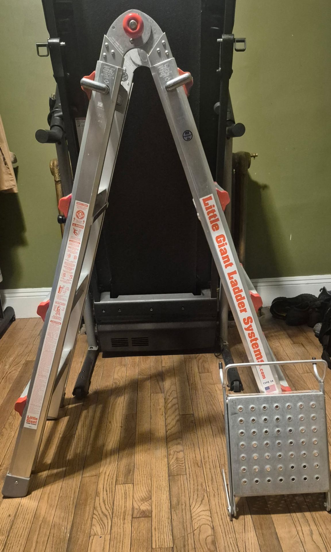 Little giant ladder