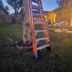 Werner 10ft Ladder For Sell