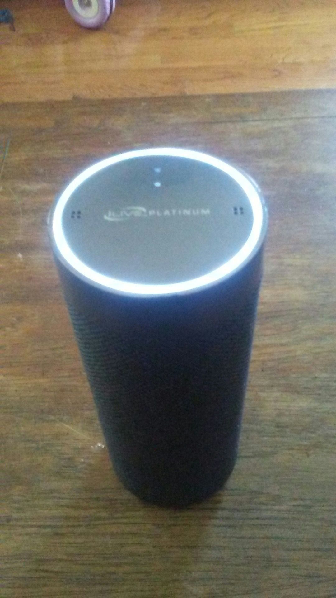 Portable speaker
