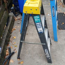 Werner Ladders 4' & 6' Weight Capacity Is 250lbs.