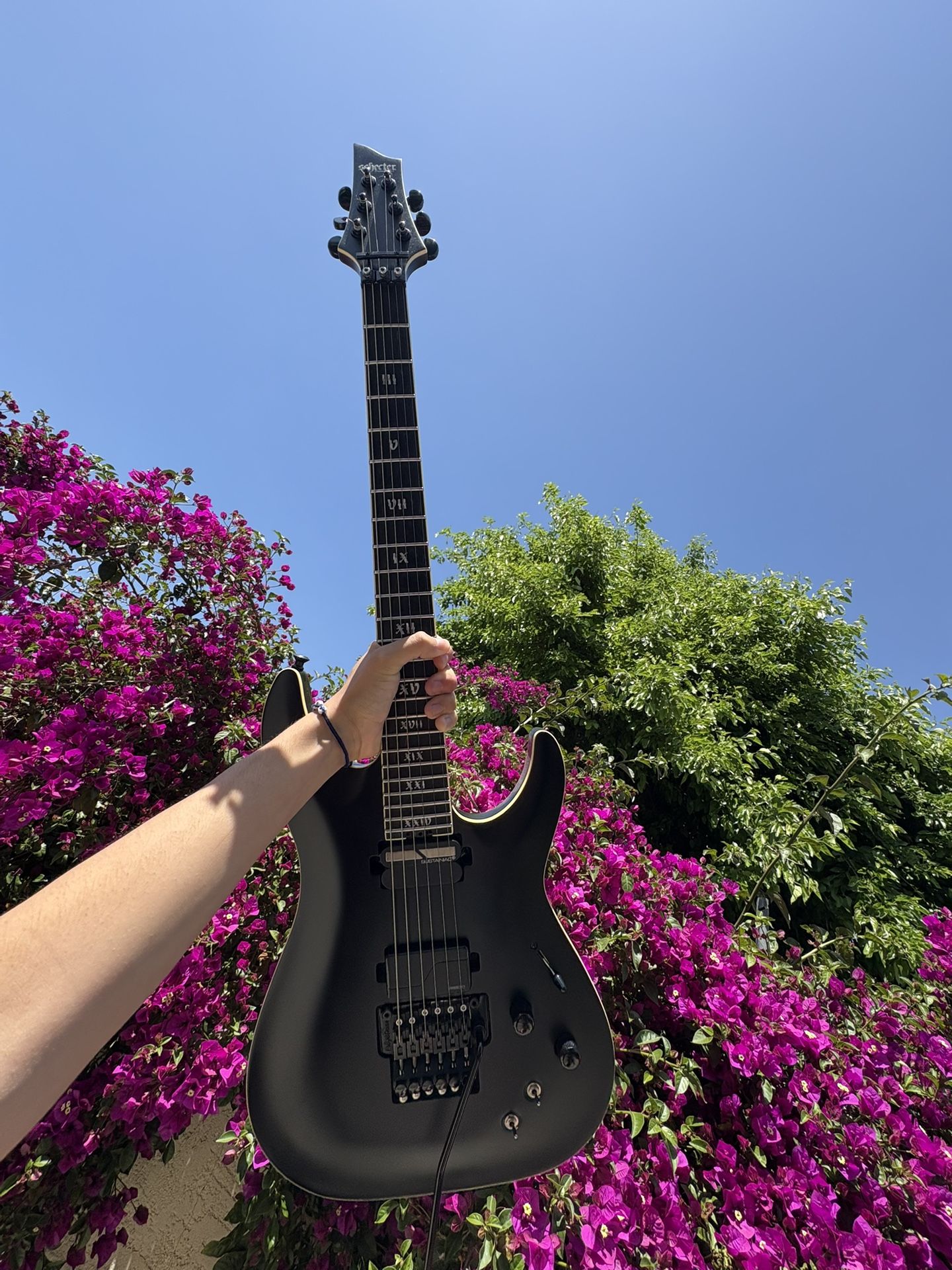 Schecter Evil Twin