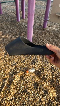 Donald trumps slides