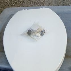 Garden Boarder, Toilet Seat, Shower Curtain Rings