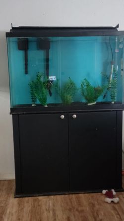Aquarium occupants