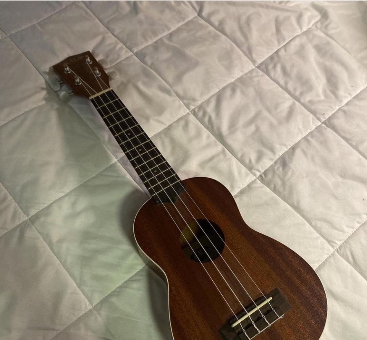 Ukulele