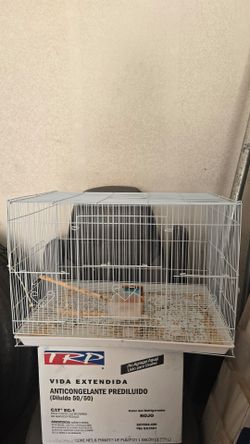 2 birds cages