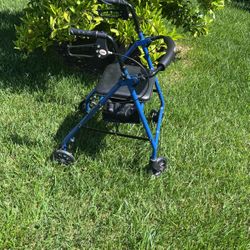 Adult Walker