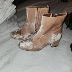 Heels Booties