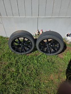 Mustang rims