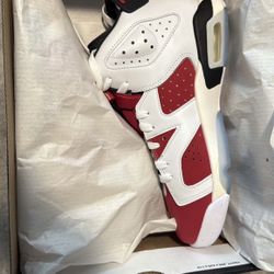 Jordan Retro 6 “Carmine” 