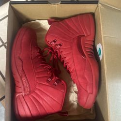 Air Jordan 12 retro