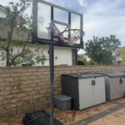 LIFETIME Basketball hoop Loop