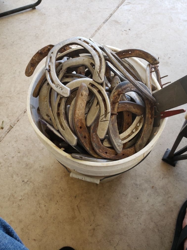Used horseshoes for Sale in Glendale, AZ OfferUp